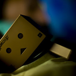 Wallpaper Danbo @ digaleri.com