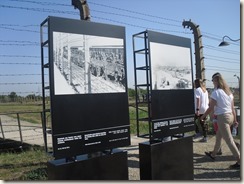 Auschwitz, Birkenau 007