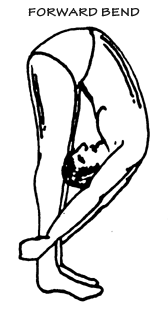 Forward Bend Posture