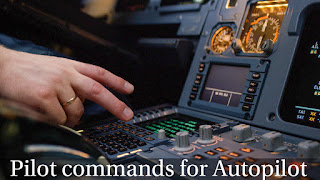 Pilot commands for Autopilot