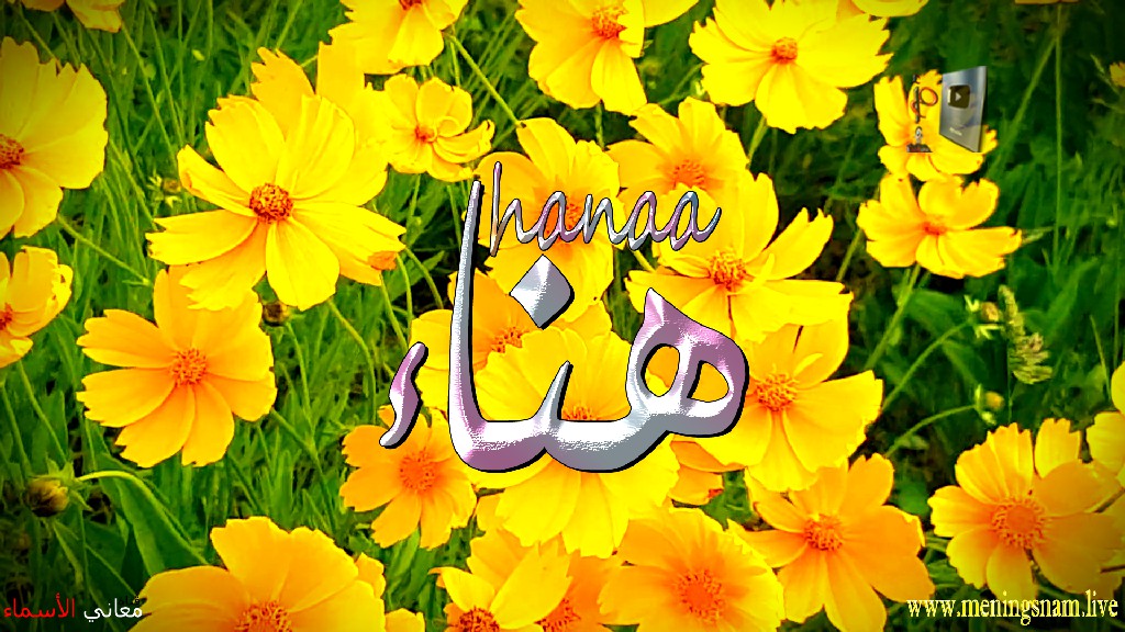 معنى اسم, هناء, وصفات, حاملة, هذا الاسم, Hanaa,