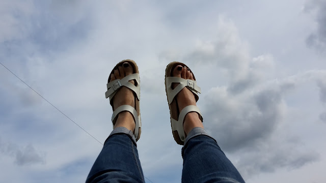 Project 365 2015 day 228 - Swinging // 76sunflowers