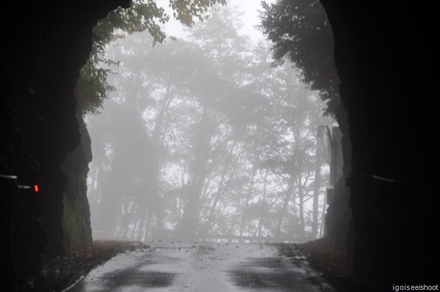 Tunnel and mist in Taroko