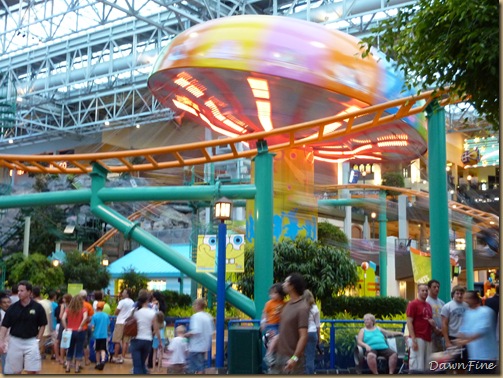 mall of america_20090814_022