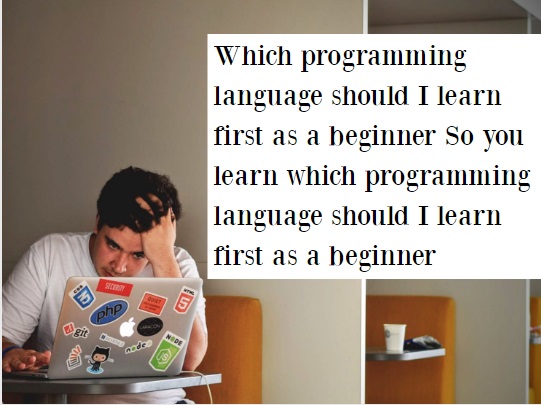 Which programming language should I learn first as a beginner