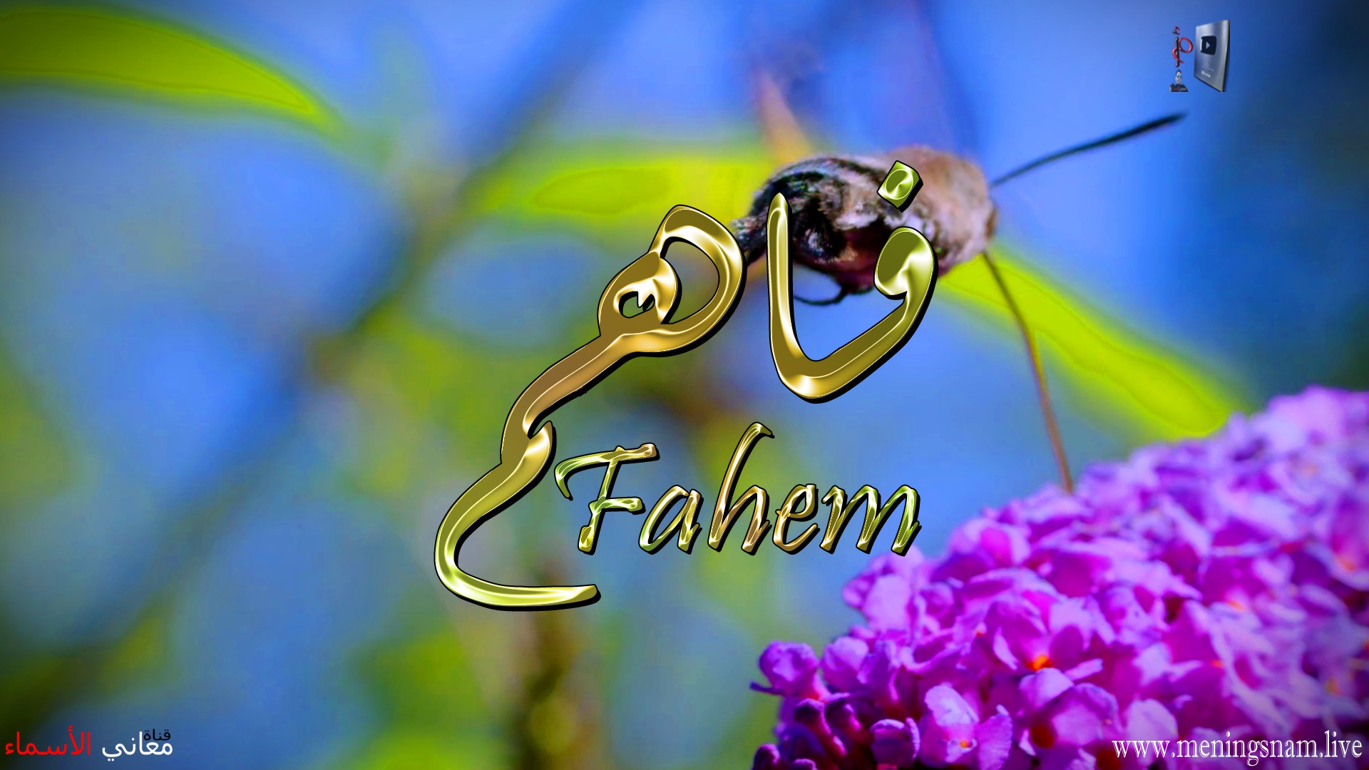 معنى اسم, فاهم, وصفات, حامل, هذا الاسم, Fahem,