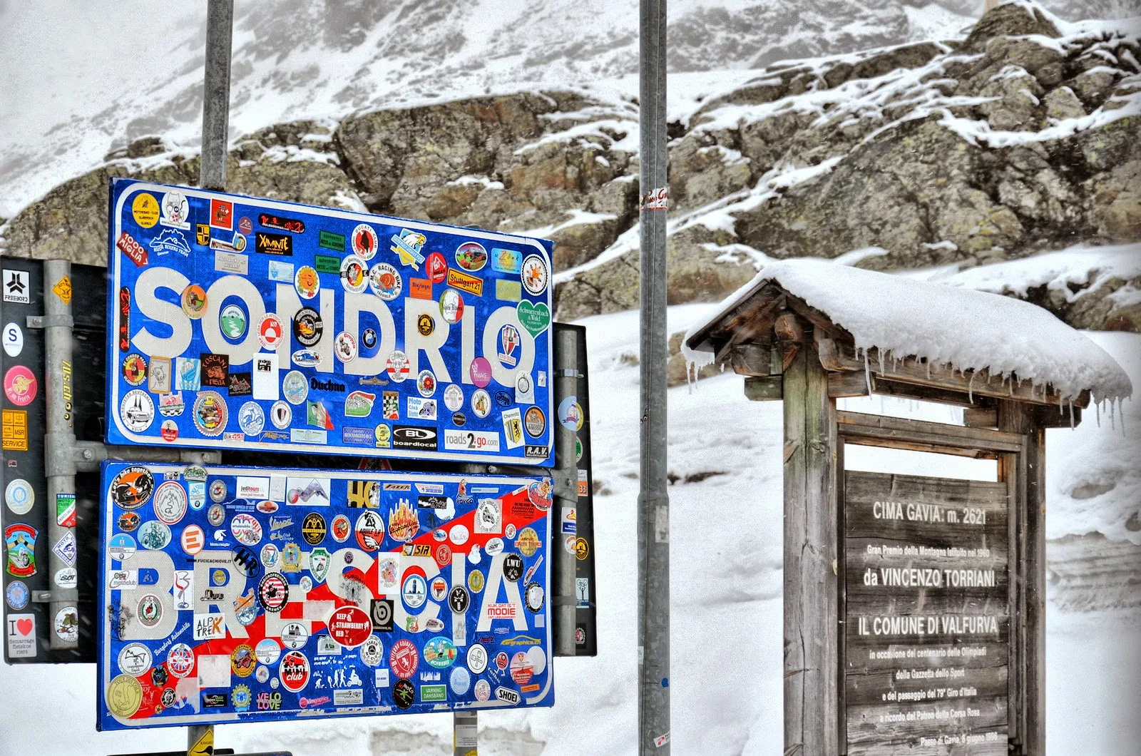 cycling gavia pass