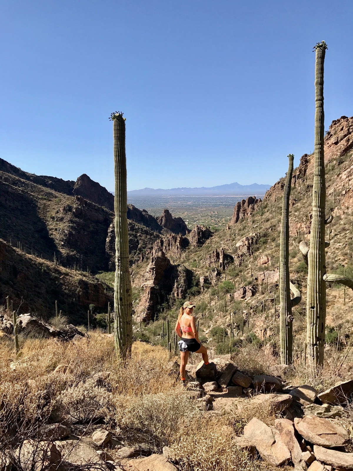 Ventana Canyon Trail, Tanque Verde Arizona, Loews Ventana Canyon