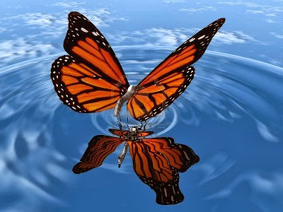 Free live butterfly wallpaper