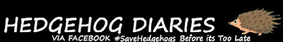 https://www.facebook.com/Hedgehog-Diaries-433789323496655/ 