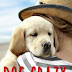 Anteprima 7 luglio: "Dog crazy" di Meg Donohue