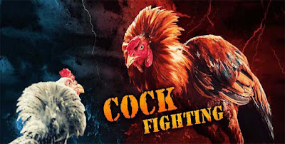 Link Sabung Ayam Online Terbaru SV388 / SV288