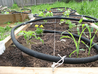 Raised Bed Garden Ideas