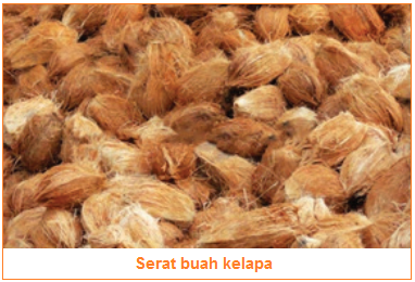 Jenis Bahan Serat dan Karakteristik Serta Contoh Bahan 