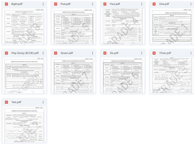 Image showing nine PDF files for summer vacation homework assignments from Play Group to Class Eight.