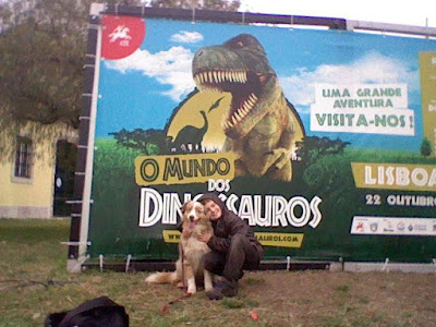 pastor australiano numa exposição sobre dinosauros