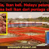 Panas Ikan Air Tawar Diberikan Makan Usus Babi Dijual Kepada Orang Melayu