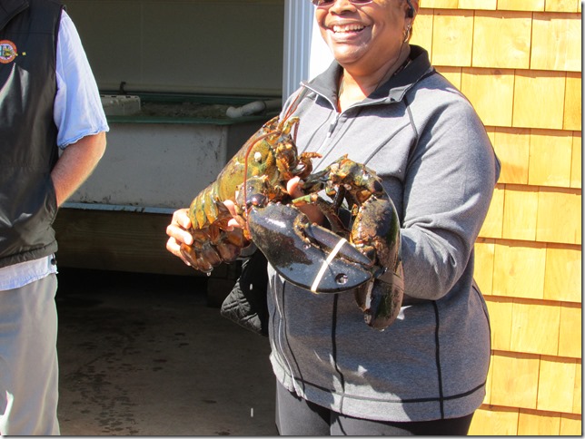 A Serious Lobster