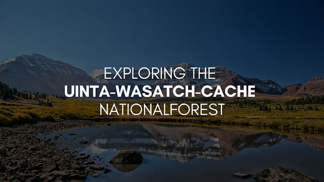 Exploring the Uinta-Wasatch-Cache National Forest