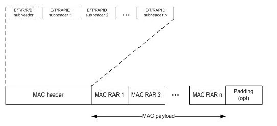 how-many-RAPIDs-are-in-lte