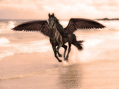 Black Horse Wallpaper for Desktop