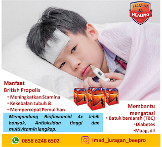 obat demam anak manjur british propolis