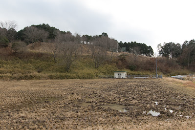 三河亀山城