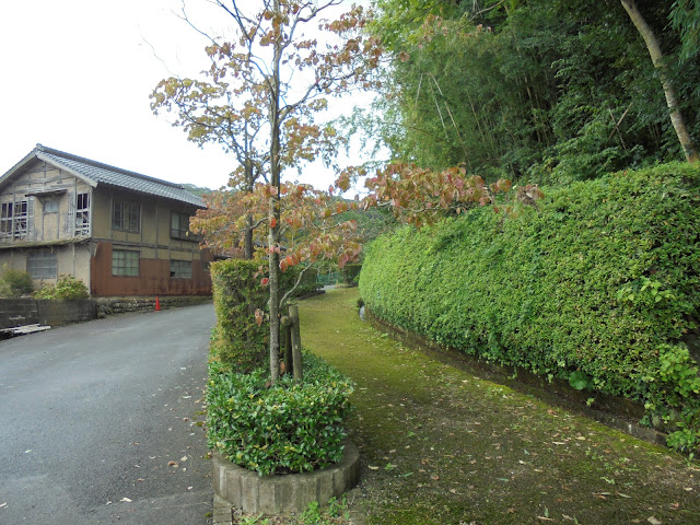 上淀廃寺跡に向かって歩道を歩きます