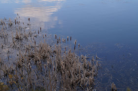 Spring in Norfolk