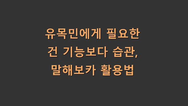 유목민에게 필요한 건 기능보다 습관, 말해보카 활용법