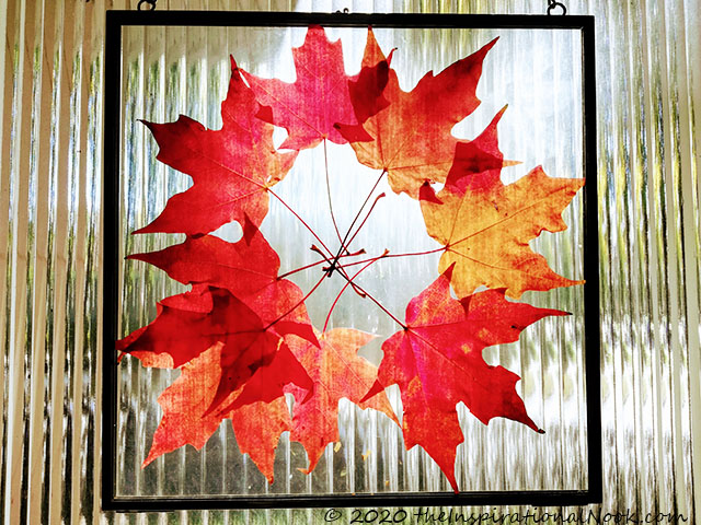 Hanging Herbarium frame, Pressed leaves and flowers, Drief leaf and flower glass frame, decor and display