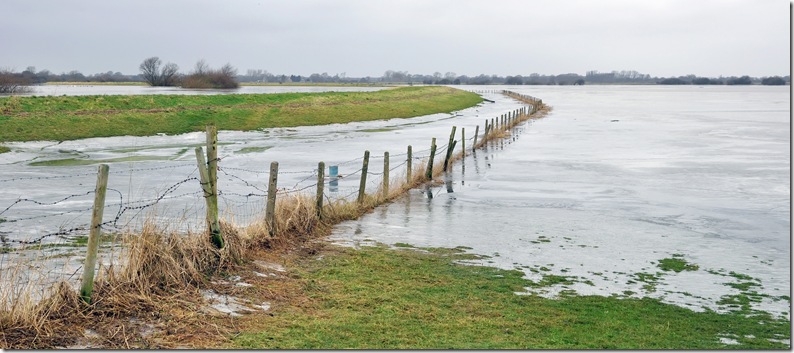 river derwent floodplain colour view copy