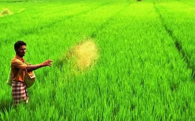 Bangla Sashya Bima Yojana
