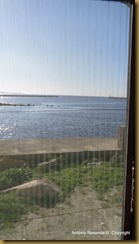 08-DSC02263