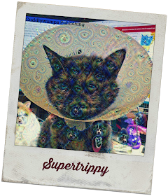 Real Cat Paisley--Supertrippy