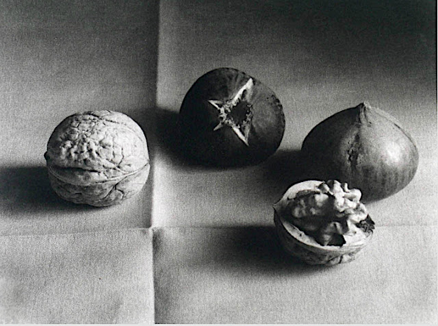 John Stewart (1919-2017) Two figs, Two Nuts, 1975. Tirage photographique Collection privée