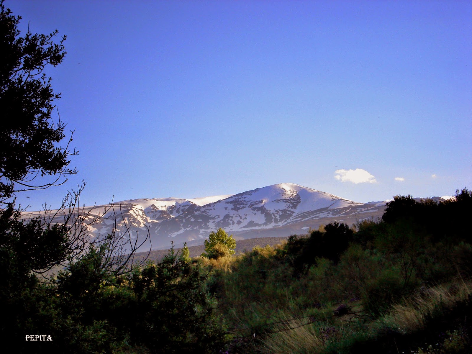 Picón, Sierra Nevada