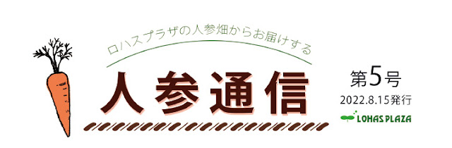 人参通信第5号　無農薬の人参栽培・人参ジュースのロハスプラザ