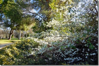 4-DSCN1368