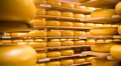 Global Cheese Manufacturing Market