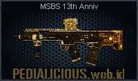 MSBS 13th Anniv