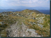 DSCN4770
