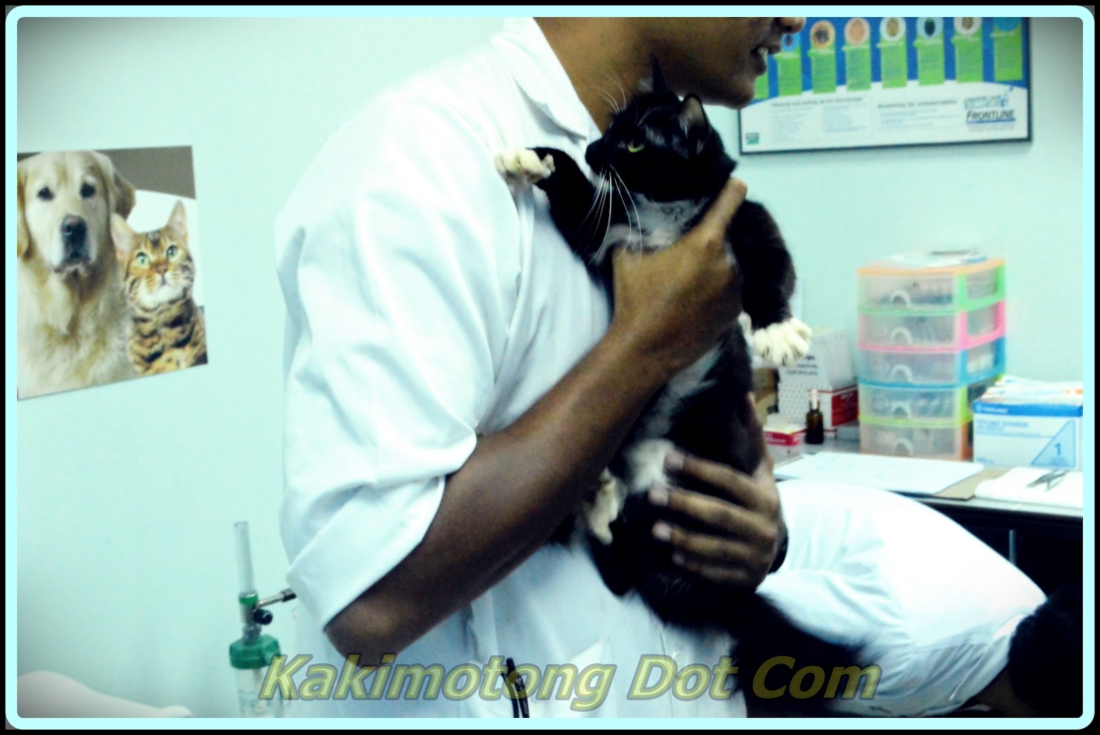 Al Kisah Si Motet, Vaksin Kucing, Ubat Cacing, Kucing Mata 