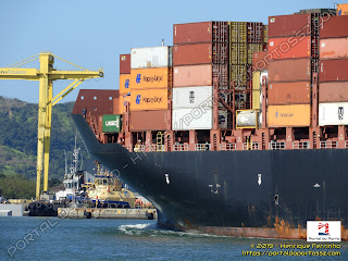 MSC Elodie