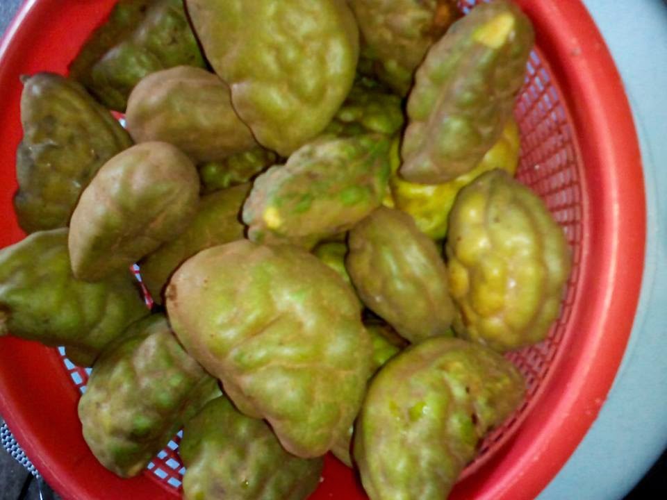 SEINDAH SENYUMAN : ASAM BOI BUAH KATAK PURU