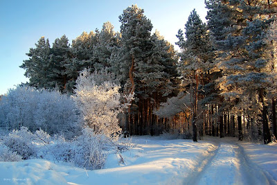 winter russia