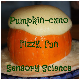 10 fall science ideas for kids