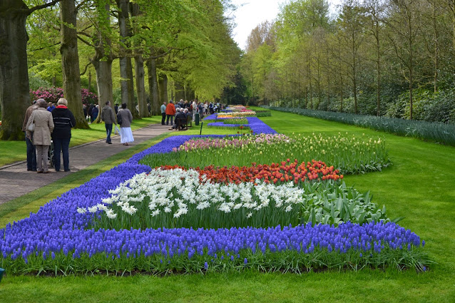 Holandia – tulipanowy raj czyli ogród Keukenhof