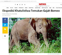 Ekspedisi Khatulistiwa Temukan Gajah Borneo - Borneo Fan