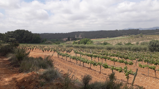 PR-C8 Santes Creus - Les Pobles - Castell de l'Albà- l'Albà - Santes Creus, camí de Santes Creus a les Pobles passant pel bosc de Sant Sebastià